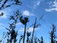 -西涌国际滨海旅游区