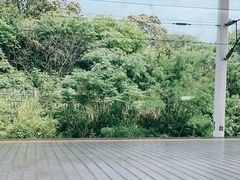 -岳阳东站