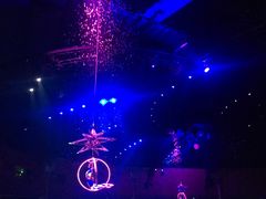 -珠海横琴长隆《卡卡虎奇遇记》