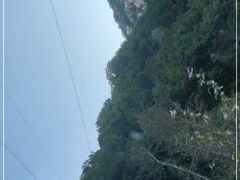 -驼梁风景区