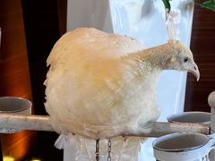 -宁波九龙湖开元度假村