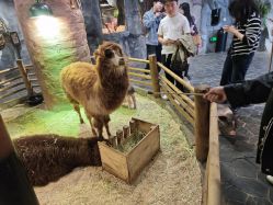 -Zoolung Zoolung动物主题公园(海信广场店)