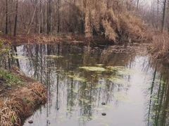 -溱湖国家湿地公园