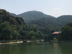 -广州市帽峰山景区