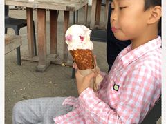 -Patagonia Chocolates(皇后镇店)