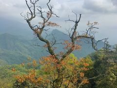 -青城山