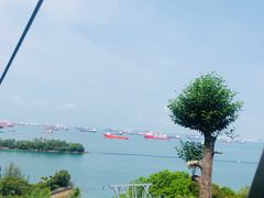 -圣淘沙天际线斜坡滑车