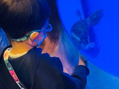 -芜湖新华联大白鲸海洋公园