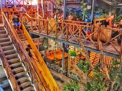 -Rainforest