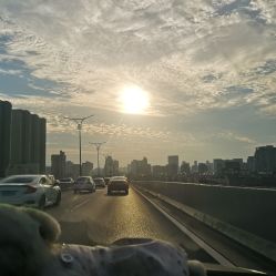 -菲菲羊乐园(临平银泰城店)