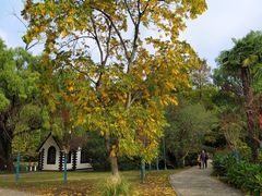 -上海共青森林公园