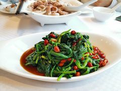 陈醋菠菜-双井轩(双井店)
