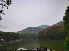 -白马涧龙池景区