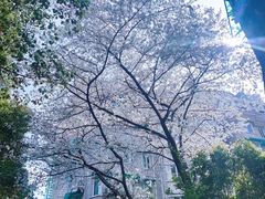 -浙江大学医学院附属第二医院(解放路院区)