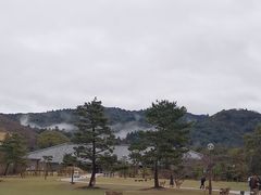 -奈良公园