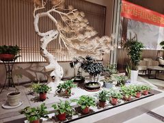 -春茗熙