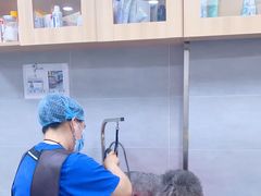 -宠福鑫康馨动物医院·骨科·眼科