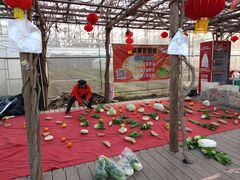 -前小桔亲子创意农场·草莓采摘·露营烧烤
