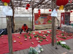 -前小桔亲子创意农场·草莓采摘·露营烧烤