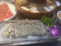 鲜毛肚-南门四季铜锅涮肉(左家庄店)