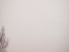 -野鸭湖国家湿地公园