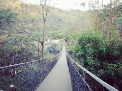 -大余丫山旅游度假区