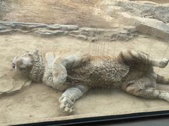 -杭州野生动物世界