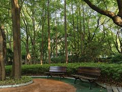 -徐家汇源景区-衡山公园