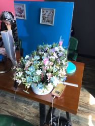 -柯琳造型直营店