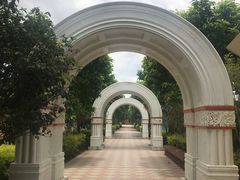 -百万葵园