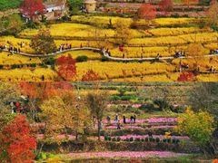 -塔川景区
