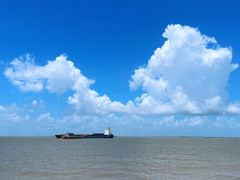 -上海滨江森林公园