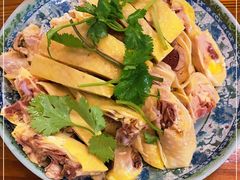 -九斤黄三黄鸡专卖店