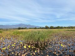 -野鸭湖国家湿地公园