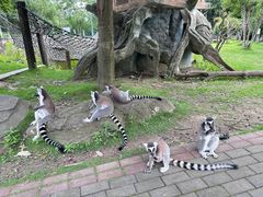 -常州淹城野生动物世界