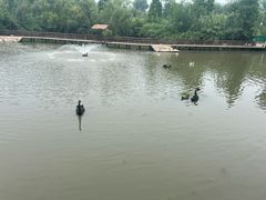 -溱湖国家湿地公园