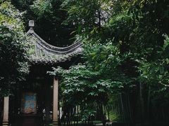 -兰亭风景区
