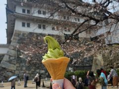 -名古屋城