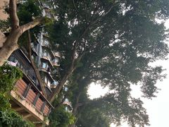 -重庆十八梯传统风貌区