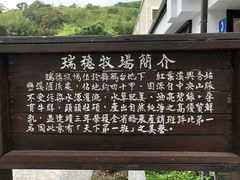 -瑞穗牧场