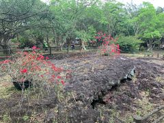 -海口火山口国家地质公园