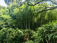 -杭州黄龙洞