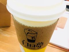 -白日梦奶茶