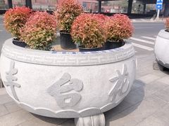 -丰台花园
