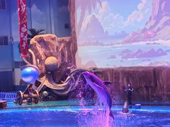 -华夏文旅海洋公园