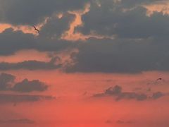 -阳澄湖半岛旅游度假区