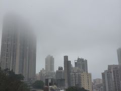 -香港大学