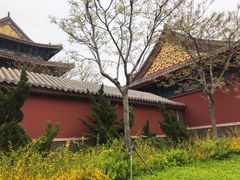 -天津妈祖文化园