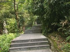 -王顺山国家森林公园