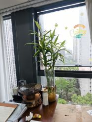 -槿里日式美甲工作室